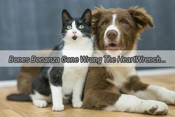 Bones Bonanza Gone Wrong The HeartWrenching Story of a Dog Who Lost Its Smile